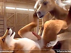 3D de cheval anthropo gai et les de renard baiser