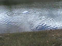 wetting gown in lake , wetting
