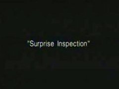 sorpresa de Inspección