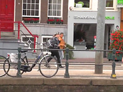 Smalltits amsterdam whore pounded by tourist