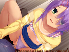 Visual novel, eroge