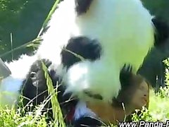 Toy Panda und jugend falschen Gesichtsbehandlung