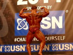 ROIDGUTTED MUSCLEBULL Jordan Peters - Klasse 3 - NABBA Universe 2014