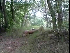 Diversión al aire libre y bajo techo