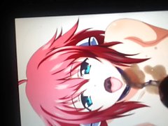 SoP Ikaros Anime