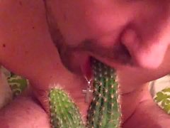 Swineboy cedere cactus un pompino